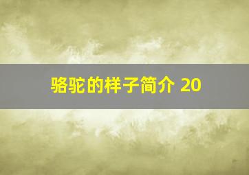 骆驼的样子简介 20